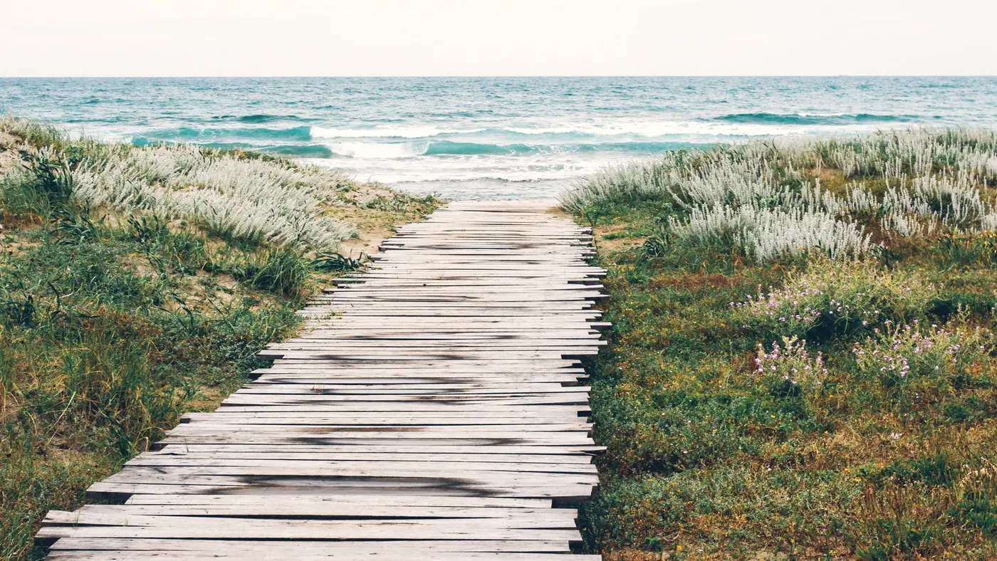 Weathered wooden boardwalk leading through dune grass to the sea