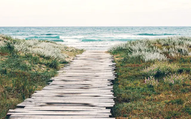 Weathered wooden boardwalk leading through dune grass to the sea