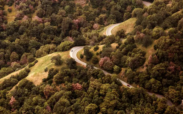Winding road through wooded hills seen from above