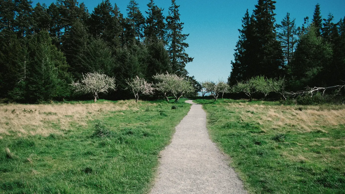 Gravel path through a green meadow toward a line of trees