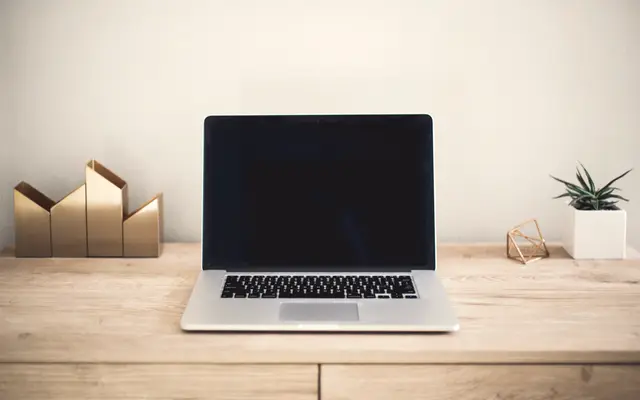 Open laptop on a light wooden sideboard beside a small plant