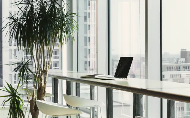 Laptop on a long desk by tall city windows with plants