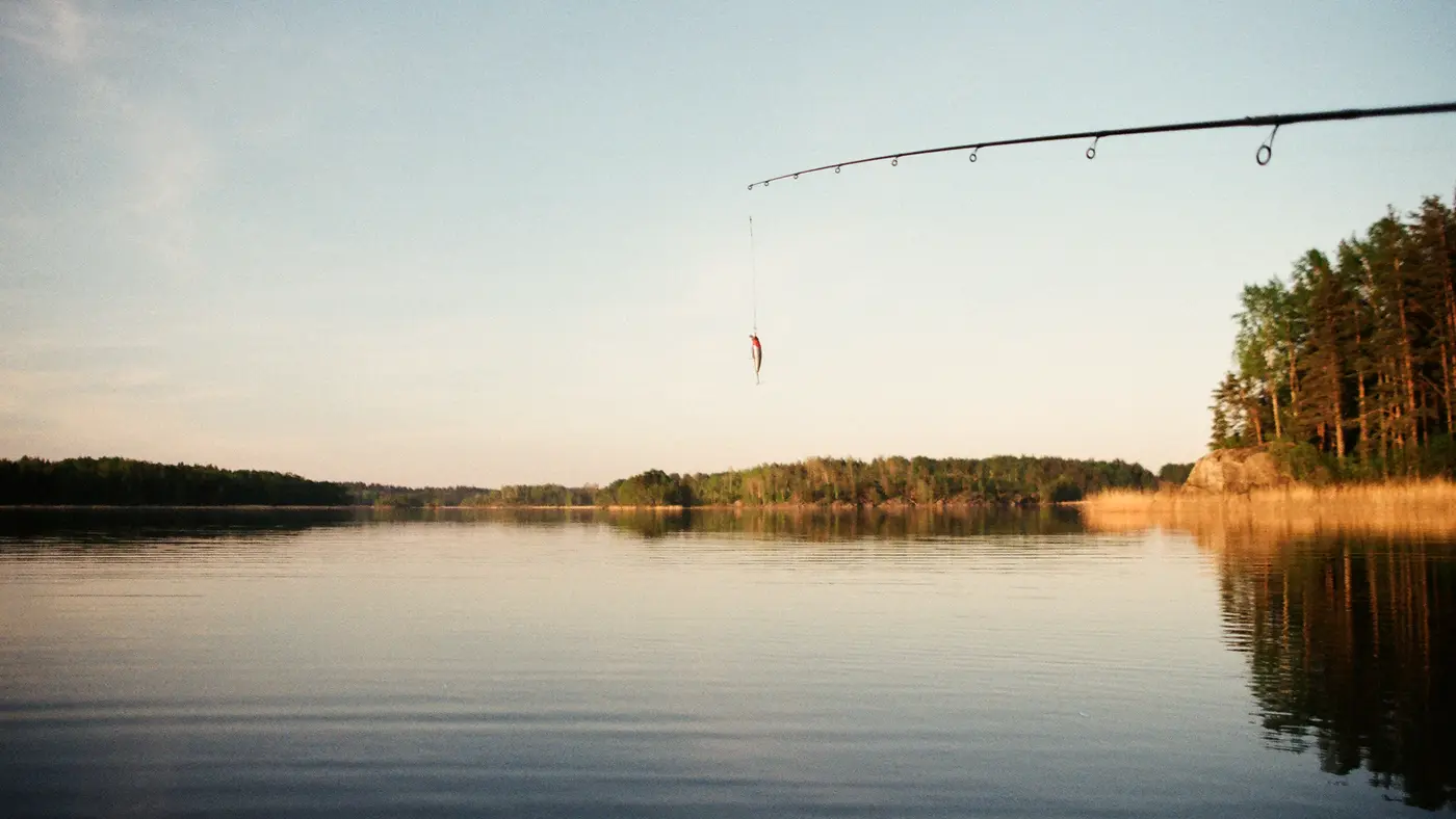 Fishing rod over a calm forest lake in evening light
