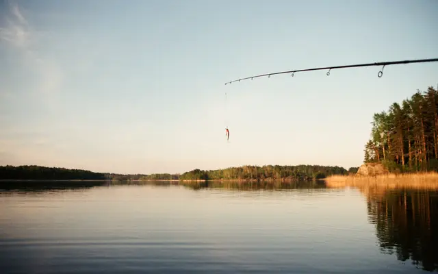 Fishing rod over a calm forest lake in evening light