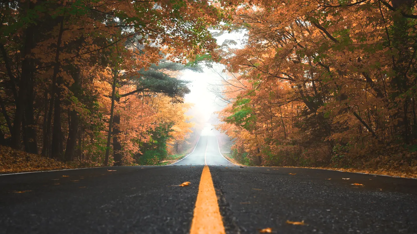 Road with a yellow center line through autumn forest