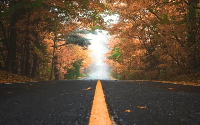 Road with a yellow center line through autumn forest