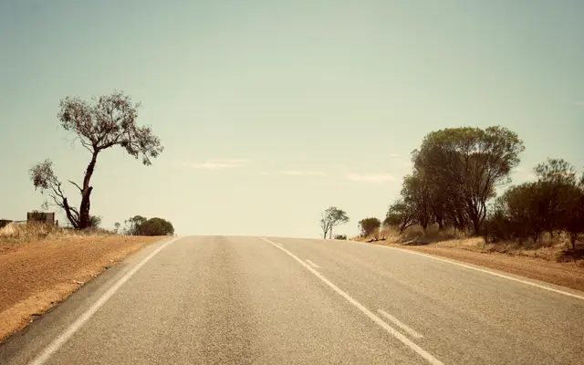 Empty two-lane road through dry open country with lone trees