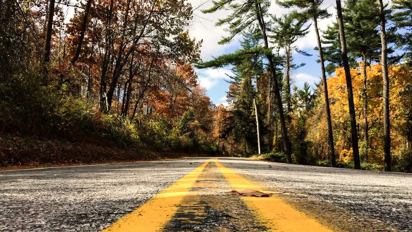Low view of double yellow lines on a wooded autumn road