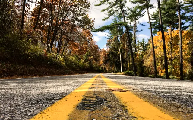 Low view of double yellow lines on a wooded autumn road