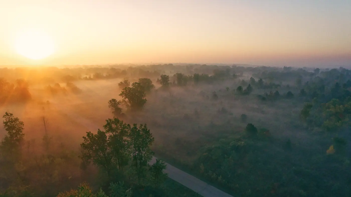 Misty sunrise over quiet woodland with a winding path