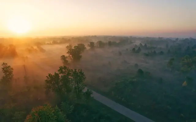 Misty sunrise over quiet woodland with a winding path