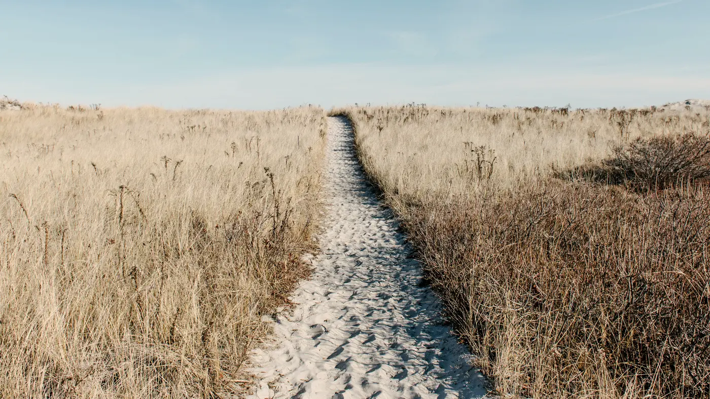 Sandy path leading through dry golden grass under a blue sky
