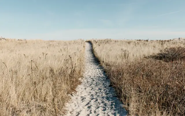 Sandy path leading through dry golden grass under a blue sky