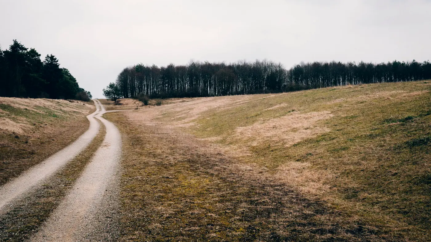 Winding dirt track across open grassland toward a tree line