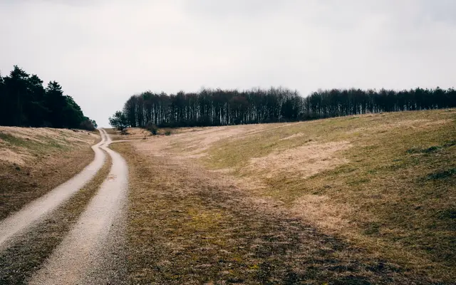 Winding dirt track across open grassland toward a tree line