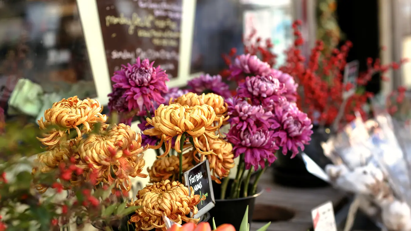 Bunches of chrysanthemums for sale at a florist's stall