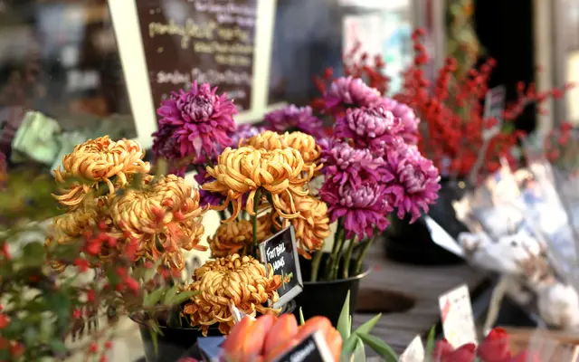 Bunches of chrysanthemums for sale at a florist's stall