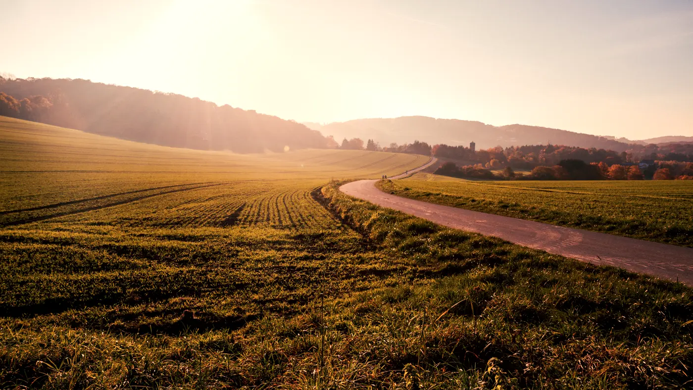Dirt road curving past farm fields in warm evening light