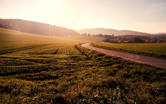 Dirt road curving past farm fields in warm evening light