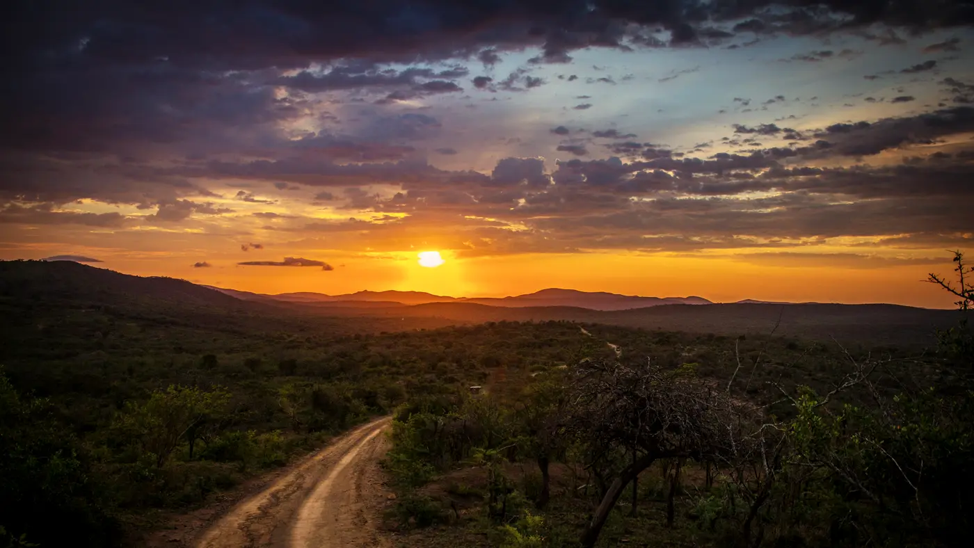Dirt track winding through open bushland toward a sunset