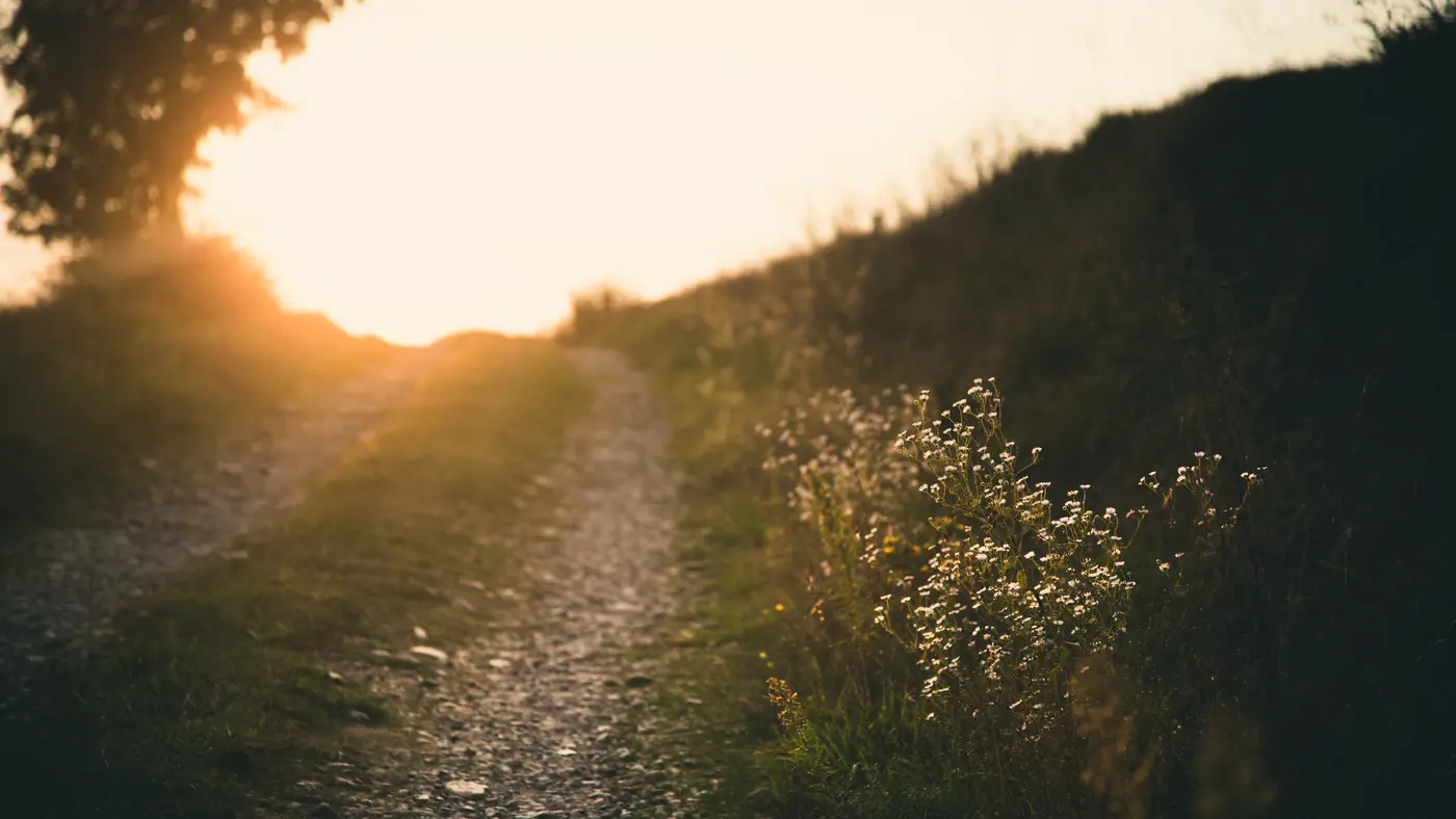 Gravel path climbing a hillside toward the setting sun