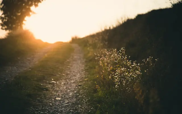 Gravel path climbing a hillside toward the setting sun