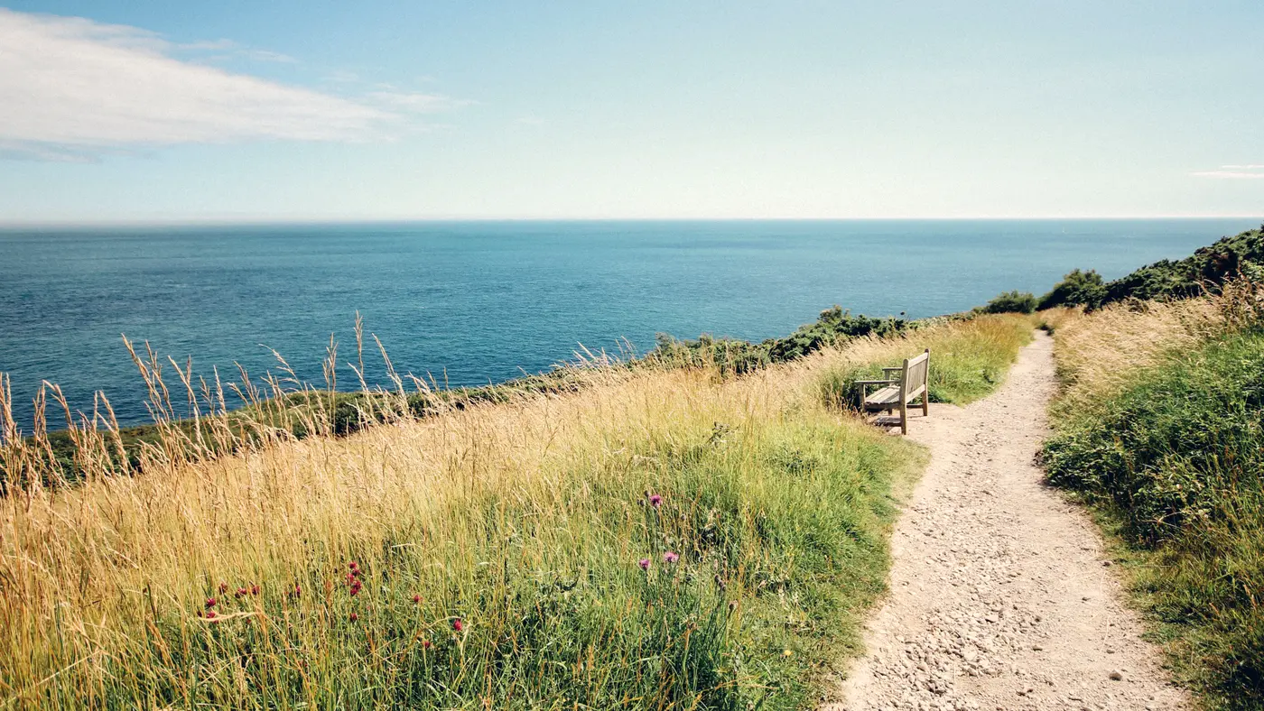 Coastal footpath through tall grass toward the open sea