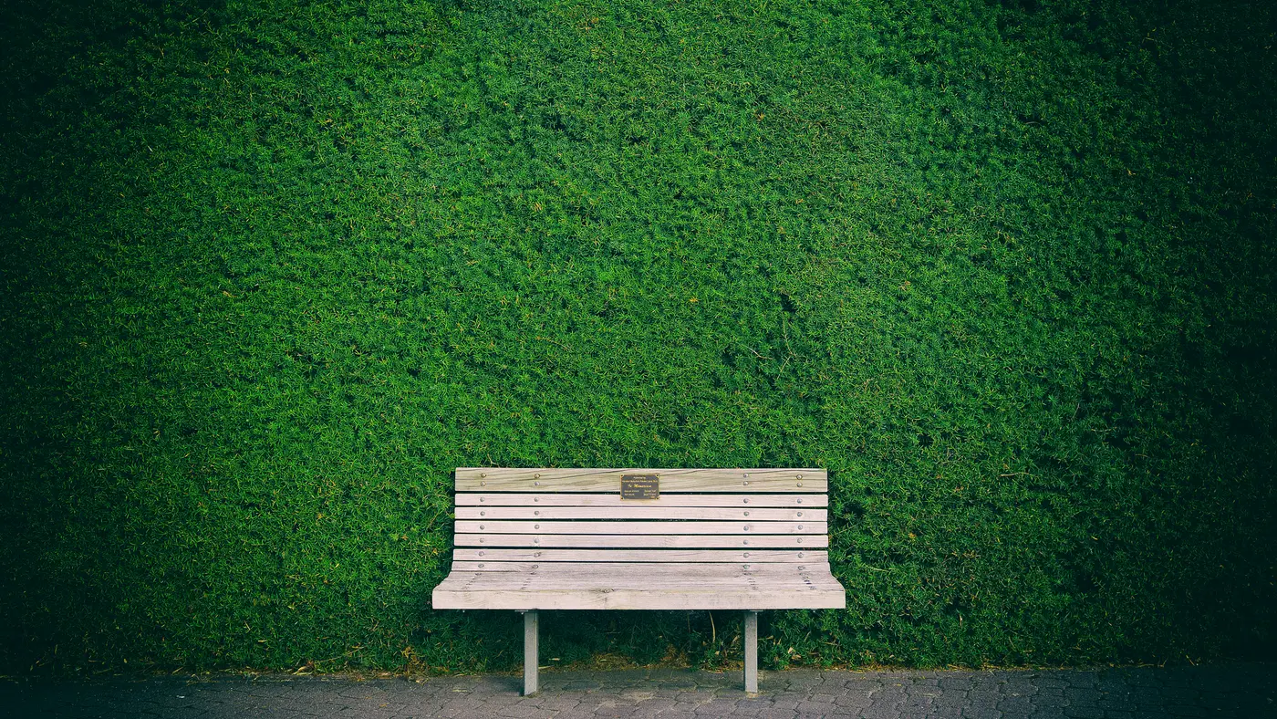 White wooden bench in front of a neatly clipped green hedge