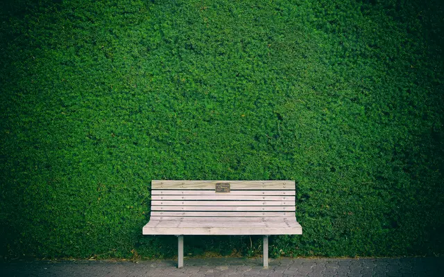 White wooden bench in front of a neatly clipped green hedge