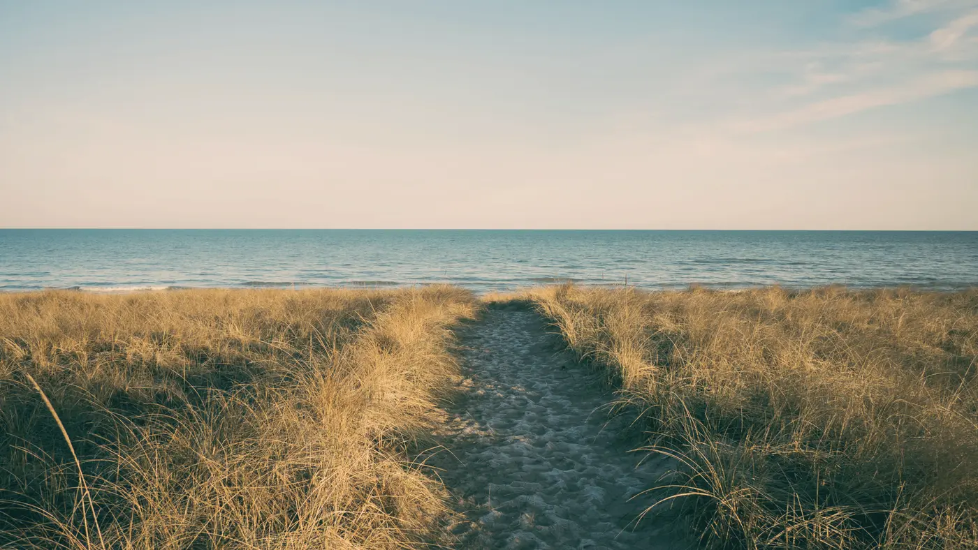 Sandy path through dune grass leading to the ocean