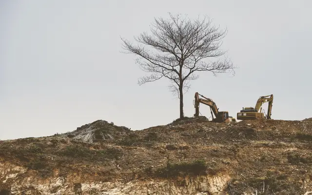 Two excavators on a cleared hilltop beside a bare tree